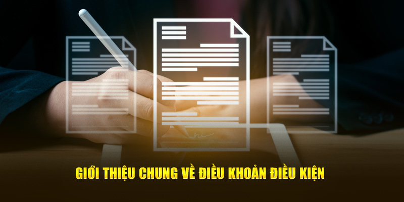 Thông tin tổng quát về các điều khoản và điều kiện